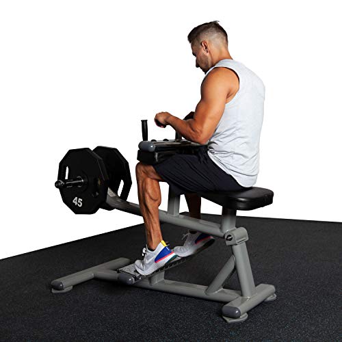 Fitness First Seated Calf Machine Silver