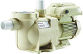 Pentair SuperFlo VS Variable Speed Pool Pump 1.5 HP - Tan