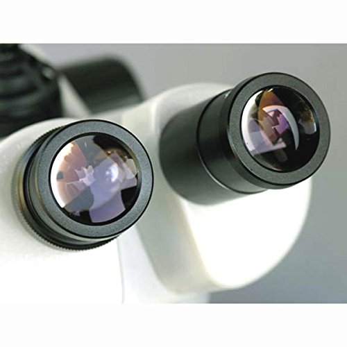 AmScope Trinocular Stereo Microscope 20X-60X Clear