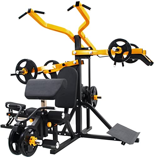 French Fitness FL100 Freeweight Leverage Gym System