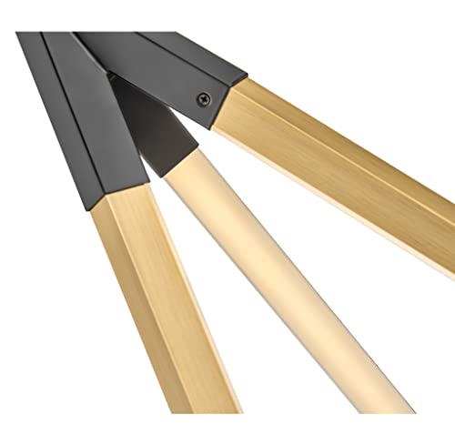 Hinkley Fredrick Ramond Rae Medium Pendant Integrated LED Lacquered Brass Black Accent