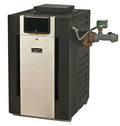 Raypak 013731 Professional Series Digital Cupro-Nickel NG 399K BTU Pool Heater