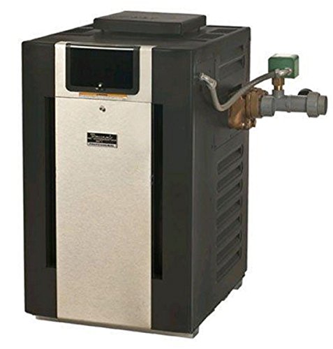 Raypak 013731 Professional Series Digital Cupro-Nickel NG 399K BTU Pool Heater