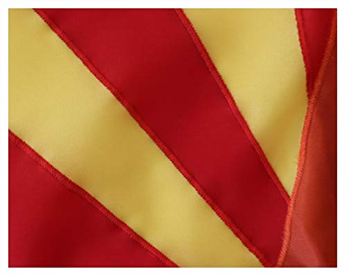 American Flag & Pole Co. 15'X25' Nylon Arizona State Flag Red, Blue, Gold, Cooper