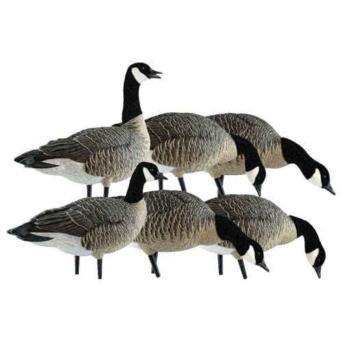 Avian-X Lessers 6 Piece Fusion Goose Decoy Set Multicolor