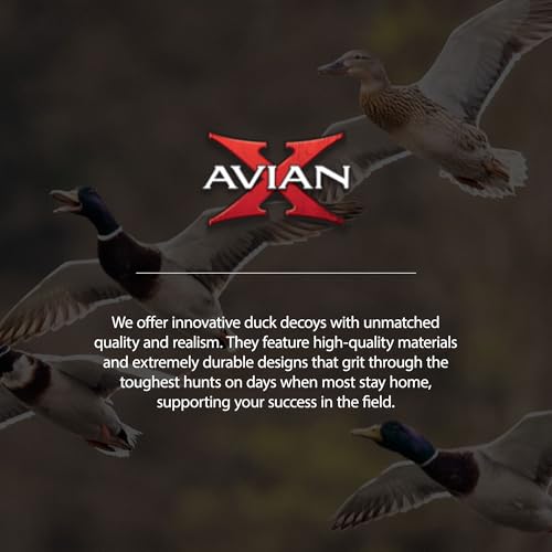 Avian-X AXP Specklebelly Decoy Fusion Pack 18 Pack