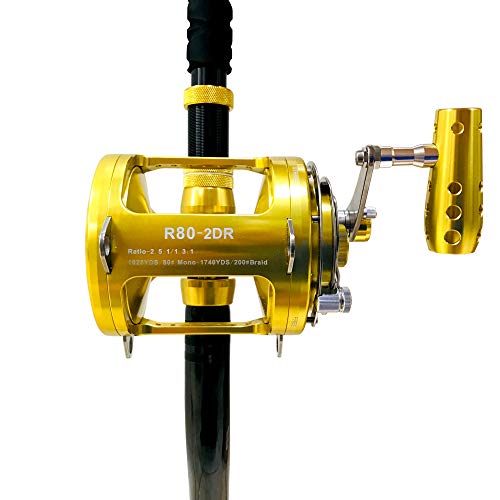 EAT MY TACKLE 80W 2-Speed Reel on Long Dredge Rod Gold
