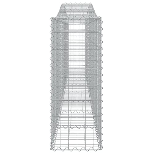 Arched Gabion Baskets 2 pcs 157.5"x11.8"x31.5"/39.4" Galvanized Iron White Black Other