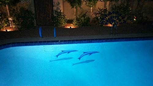 Artistry in Mosaics Dolphin Group Ceramic Pool Tile Multicolor 67" x 67