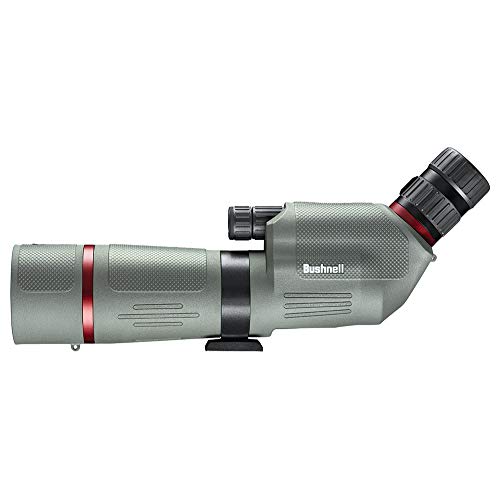 Bushnell Nitro 20-60x65 Spotting Scope Grey