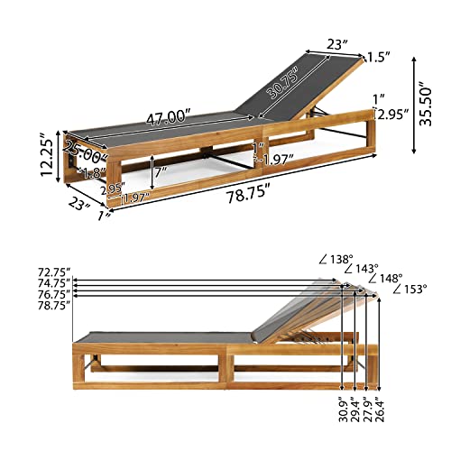 Christopher Knight Home Emile Outdoor Adjustable Chaise Lounges Set of 2 Black Teak