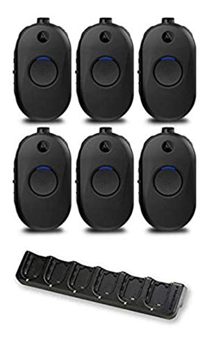Motorola Solutions CLP1010e UHF Two-Way Radio 6-Pack with Bank Charger Black