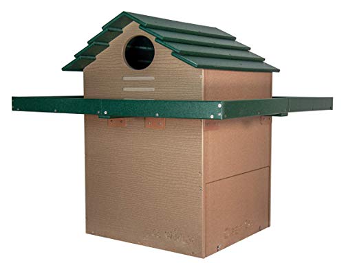 JCs Wildlife X Large Deluxe Poly Barn Owl Box with Exercise Platform Multicolored