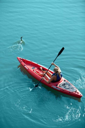 Sun Dolphin Bali SS Sit-on-top Kayak Red
