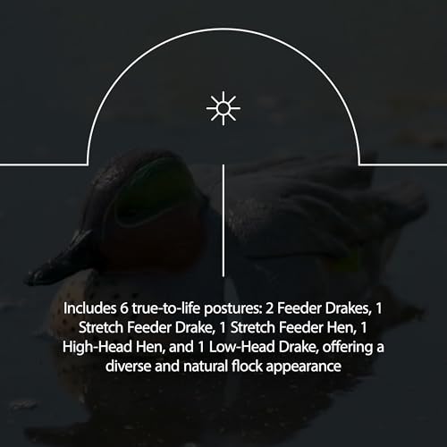 Avian-X AXP Full Body Mallards Decoy 18 Pack Multicolor
