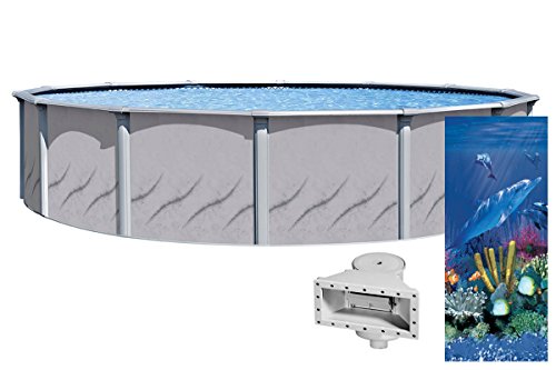 Wilbar 24-Foot Round Above-Ground Pool with Antilles Dolphin Liner