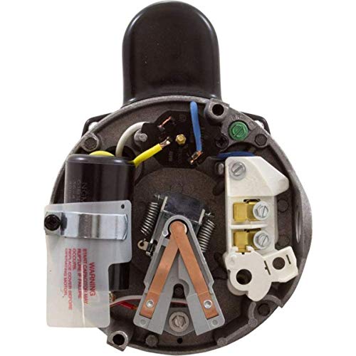 The Pool Supply Shop 2.5 HP Square Flange Threaded Shaft Horizontal Pool Pump Motor Black