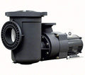 Pentair Pool Pump 10 HP 230-volt