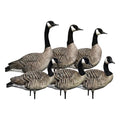 Avian-X AXP 6 Piece Honker Sentry Goose Decoy Set