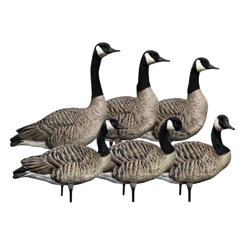Avian-X AXP 6 Piece Goose Decoy Set with Rugged Steel Base