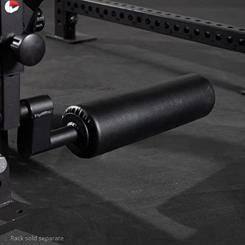 Titan Fitness Plate-Loaded Leg Curl and Extension Rack Attachment