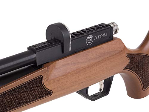 Wearable4U Hatsan Hydra .25 Cal QuietEnergy PCP Air Rifle Ultimate Bundle with Arrow Barrel, Hard Case, Targets, and Pellets
