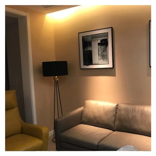GTEFSWS Black Tripod LED Floor Lamp for Living Room and Bedroom