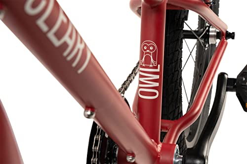 Cleary Bikes Owl 20" Kids Bike Single Speed Patagonia Red