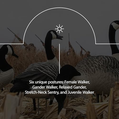 Avian-X AXP 6 Piece Goose Decoy Set with Rugged Steel Base