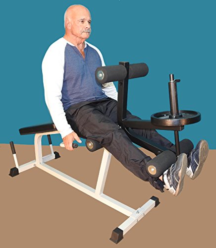 TDS Heavy Duty Leg Curl Extension Machine Gray Frame and Black Pads