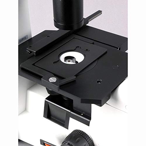 AmScope Digital Inverted Trinocular Microscope 40x-1000x White
