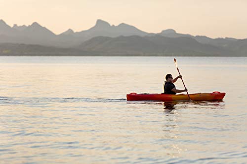 Perception Kayaks Joyride 12 Sit Inside Kayak Dapper