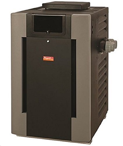 Raypak Digital Cupro-Nickel Propane Pool Heater 206000 BTU 14950