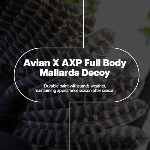 Avian-X AXP Full Body Mallards Decoy 18 Pack Multicolor