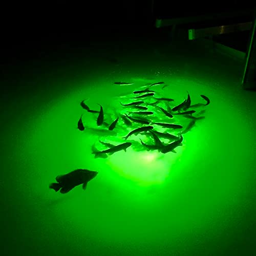 Underwater FishLight Extra Bright 250W Double Light Natural Green