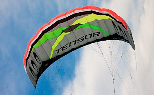 Prism Kite Technology Tensor 5.0 Convertible Dual/Quad-line Power Kite Silver