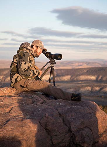 Burris Signature HD Spotting Scope 20-60x85mm Angled Sand