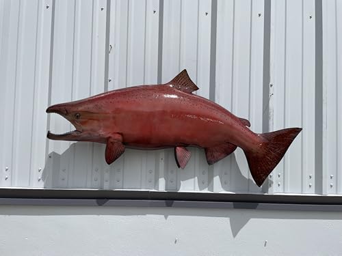 Mount This Fish Company 49" King Salmon Wall Mount Fish Replica Trophy Natural