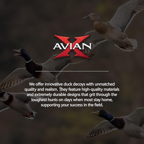 Avian-X AXF Lessers Full Body Goose Hunting Decoys 12 Pack Multicolor