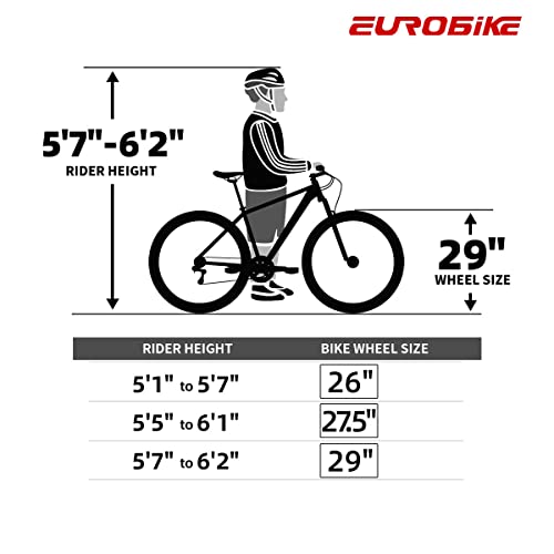 EUROBKE Mens Mountain Bike 29 inch X9 Silvery 3-Spoke