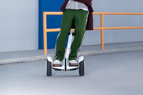 Segway Ninebot S2 Electric Self-Balancing Scooter Black