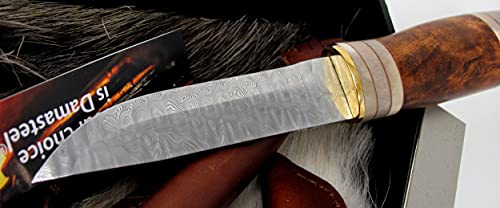 Outdoor Merchants Swedish Handmade Hunting Knife Karesuando Damascus Blade Curly Birch & Reindeer Antler