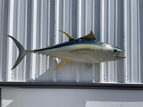 Mount This Fish Company 52" Yellowfin Tuna Full Mount Fish Replica Two Sided