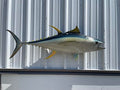 Mount This Fish Company 52" Yellowfin Tuna Full Mount Fish Replica Two Sided