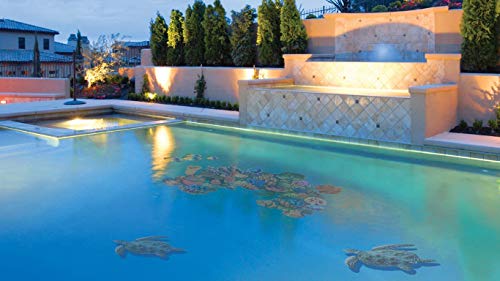 Custom Mosaics, Inc. Coral Reef Porcelain Swimming Pool Mosaic (58" x 33")