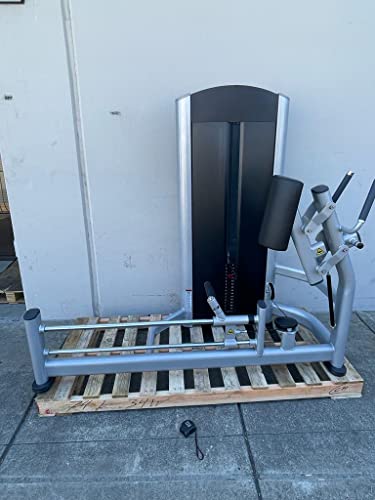 French Fitness FFS Silver Glute Machine