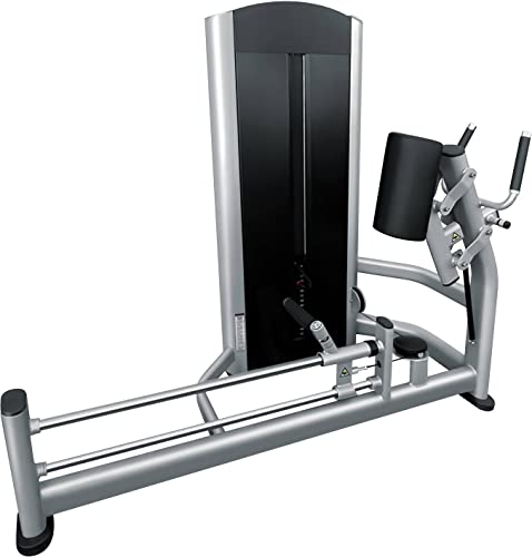 French Fitness FFS Silver Glute Machine