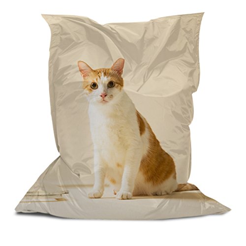 Above All Advertising Cozy Bean Bag Chair Lounger with Cat Print Multi Color