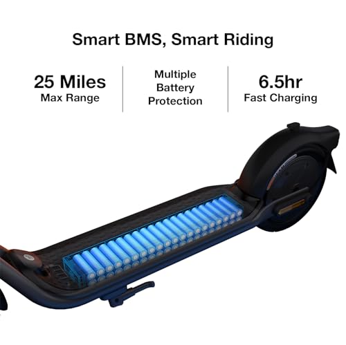 Segway Ninebot F2 Electric KickScooter 350W 25 Mi Range Black