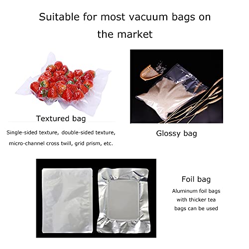 HayWHNKN Stainless Steel Vacuum Sealer for Dry & Moist Food 110V